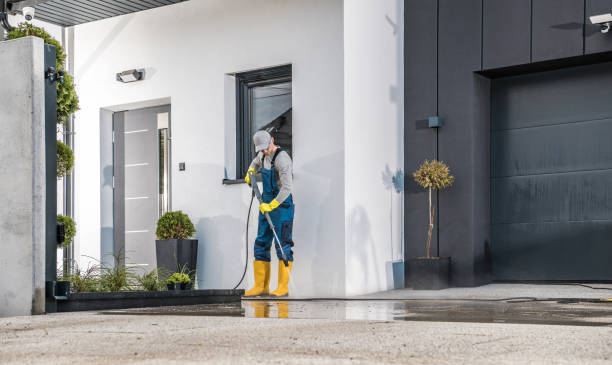 Best Solar Panel Cleaning  in Morgandale, OH